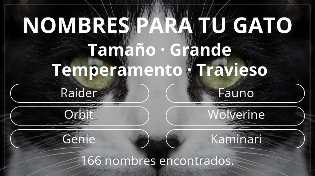 Nombres para gatos inspirados en tamaño grande y temperamento travieso