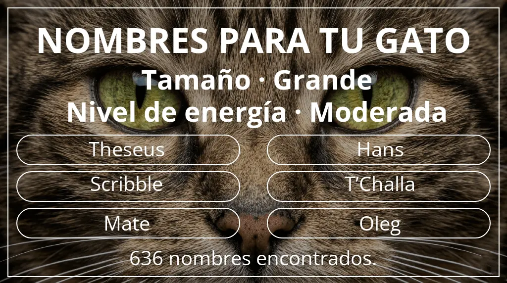 Nombres para gatos basados en tamaño grande y nivel de energía moderada