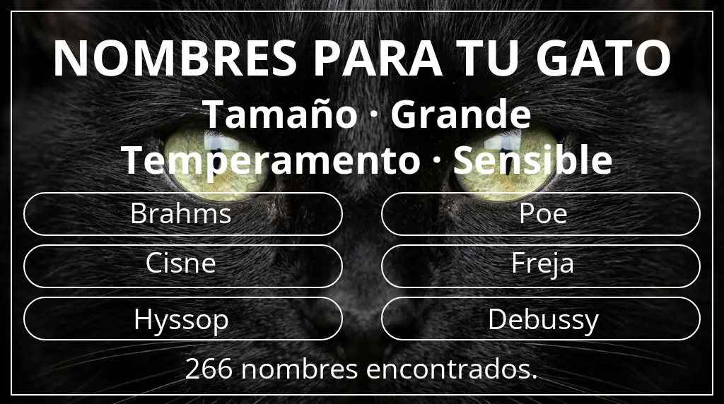 Nombres felinos relacionados con tamaño grande y temperamento sensible