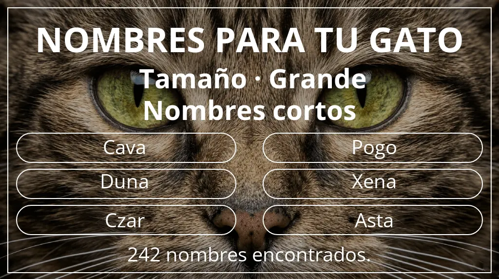 Nombres para gatos relacionados con tamaño grande y longitud del nombre corto (2-4)