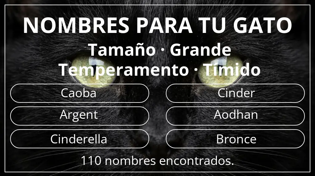 Nombres felinos inspirados en tamaño grande y temperamento tímido
