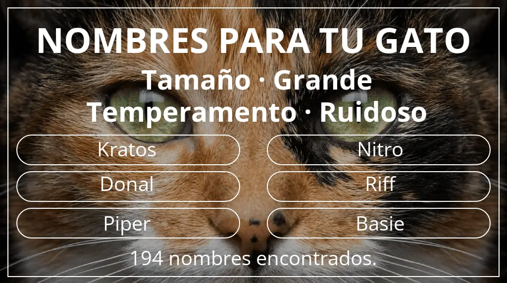 Nombres felinos basados en tamaño grande y temperamento ruidoso
