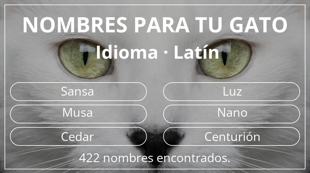 Nombres para gatos relacionados con idioma latín