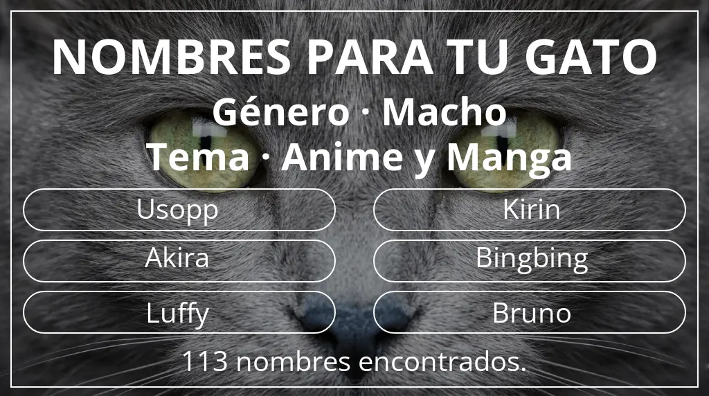 Nombres para gatos relacionados con género macho y tema anime y manga