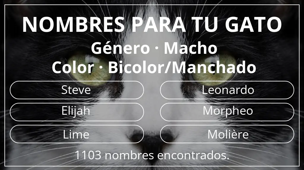 Nombres felinos basados en género macho y color bicolor/manchado