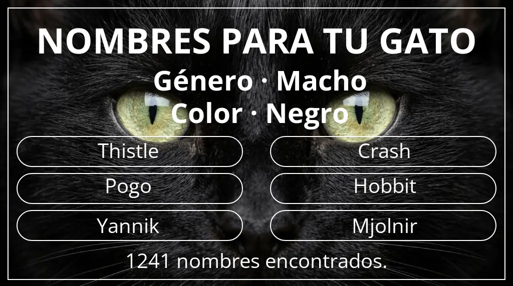 Nombres para gatos relacionados con género macho y color negro