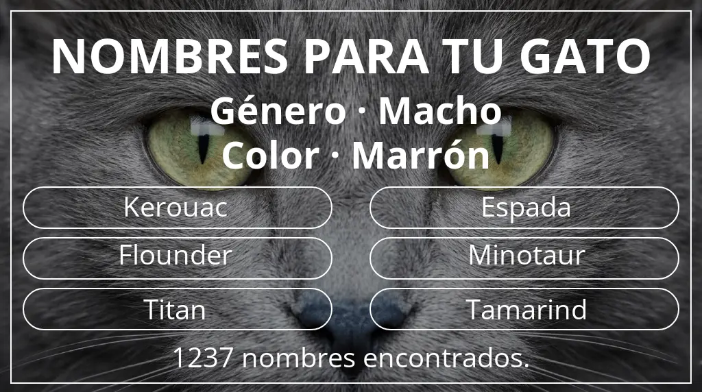 Nombres para gatos inspirados en género macho y color marrón