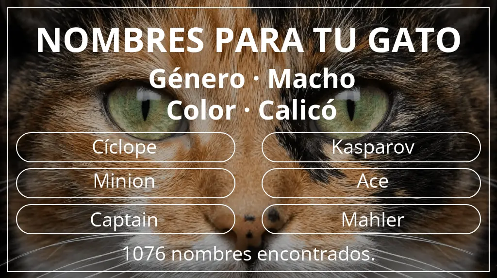 Nombres felinos relacionados con género macho y color calicó
