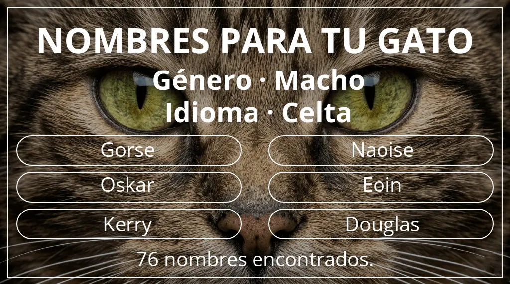Nombres para gatos basados en género macho y idioma celta