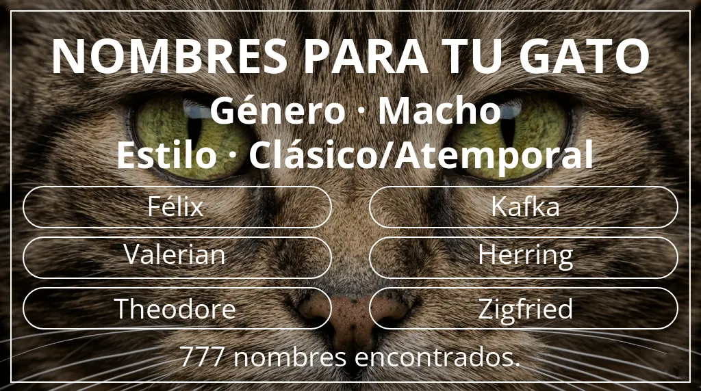 Nombres para gatos basados en género macho y estilo clásico/atemporal