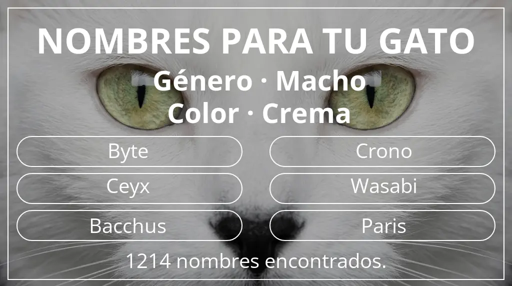 Nombres para gatos inspirados en género macho y color crema