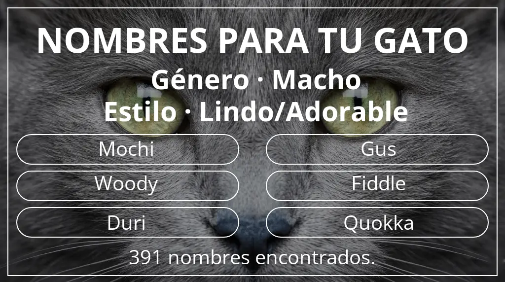 Nombres felinos inspirados en género macho y estilo lindo/adorable