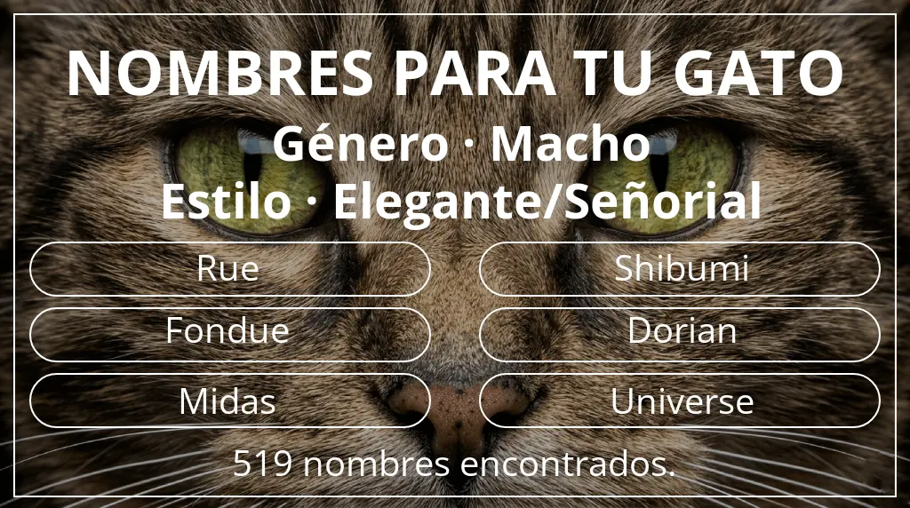 Nombres para gatos inspirados en género macho y estilo elegante/señorial