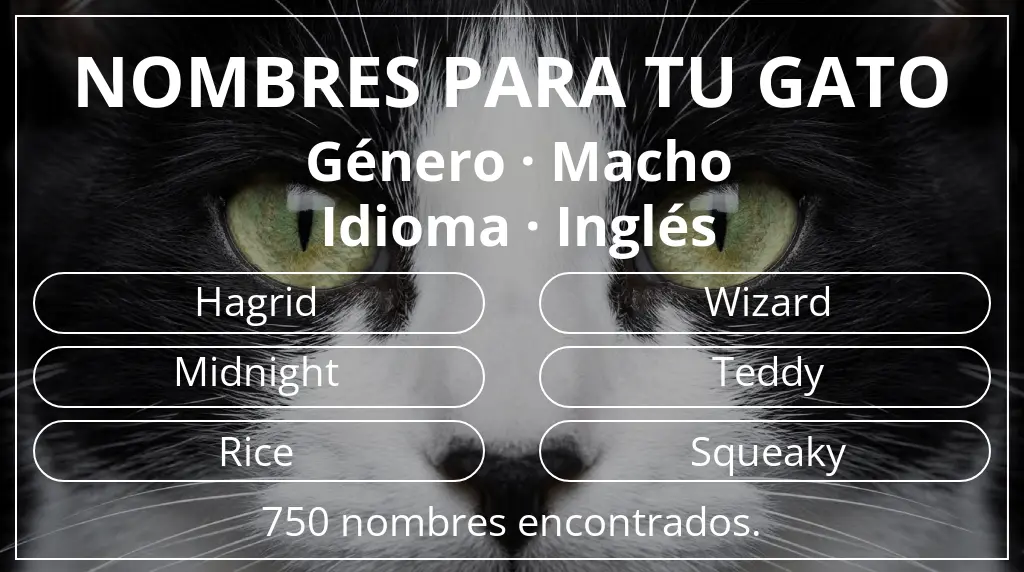 Nombres felinos basados en género macho y idioma inglés