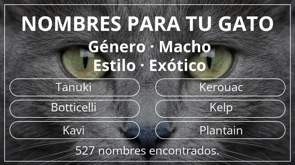 Nombres felinos inspirados en género macho y estilo exótico