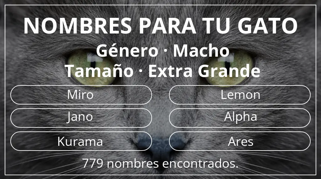 Nombres para gatos relacionados con género macho y tamaño extra grande