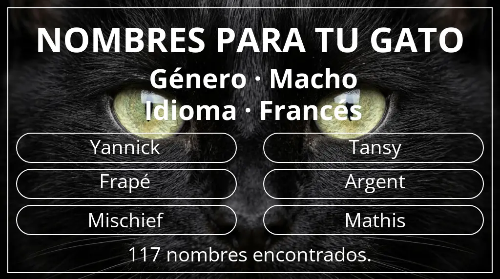 Nombres felinos basados en género macho y idioma francés