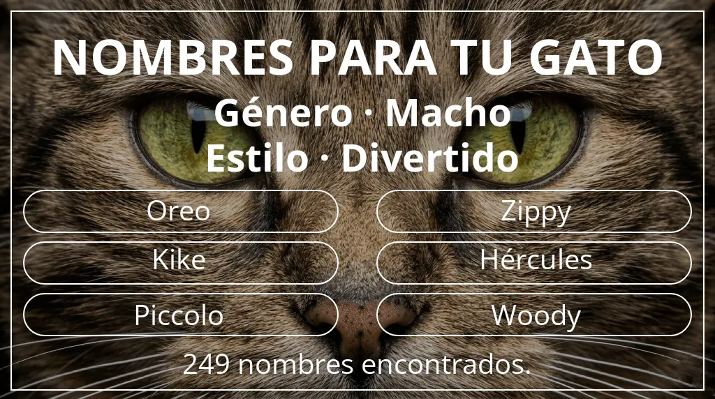 Nombres para gatos inspirados en género macho y estilo divertido