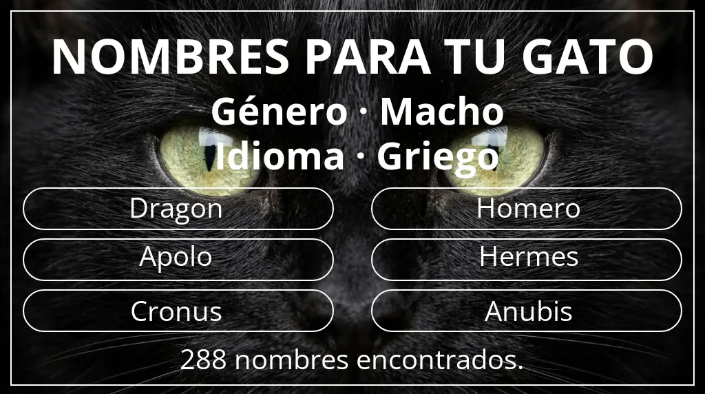 Nombres para gatos inspirados en género macho y idioma griego
