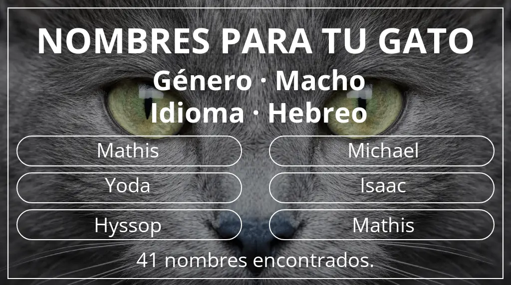 Nombres felinos inspirados en género macho y idioma hebreo