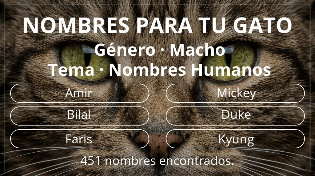 Nombres para gatos relacionados con género macho y tema nombres humanos