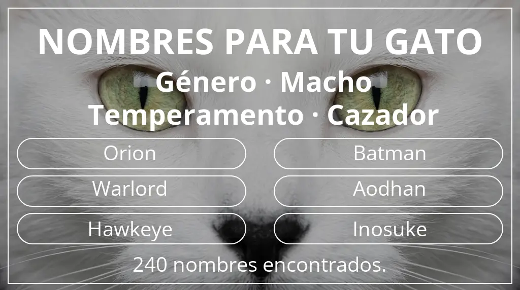 Nombres para gatos inspirados en género macho y temperamento cazador