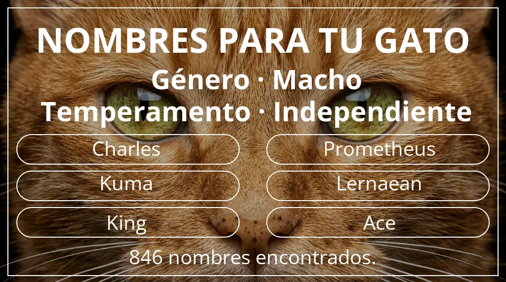 Nombres felinos inspirados en género macho y temperamento independiente