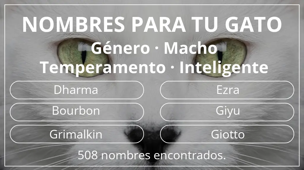Nombres para gatos basados en género macho y temperamento inteligente