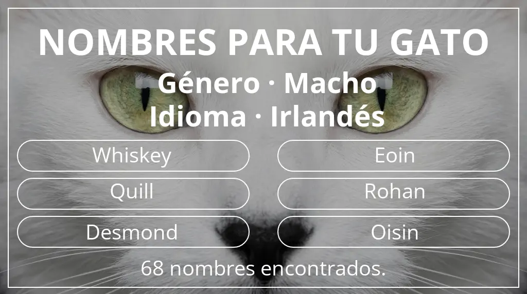 Nombres felinos basados en género macho y idioma irlandés