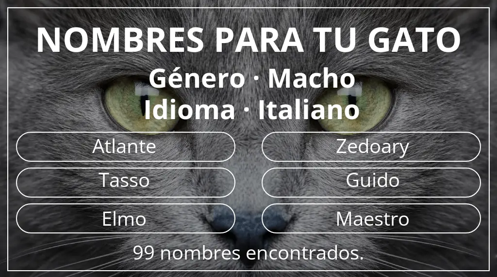 Nombres felinos relacionados con género macho y idioma italiano