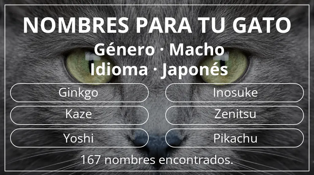 Nombres para gatos basados en género macho y idioma japonés