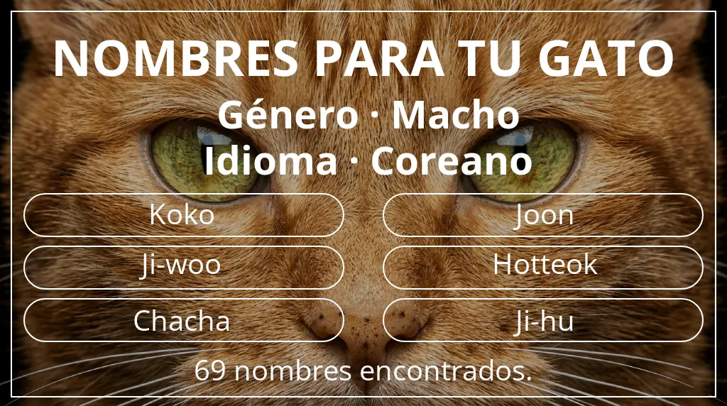 Nombres para gatos inspirados en género macho y idioma coreano