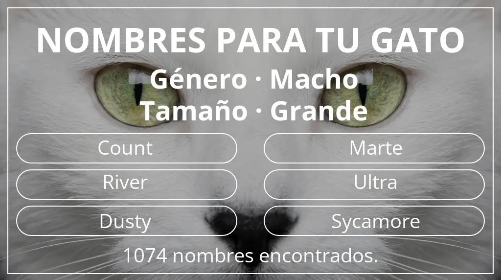 Nombres para gatos inspirados en género macho y tamaño grande