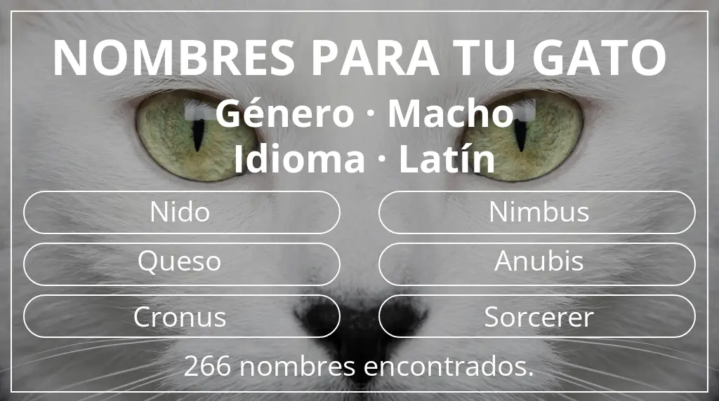 Nombres felinos relacionados con género macho y idioma latín