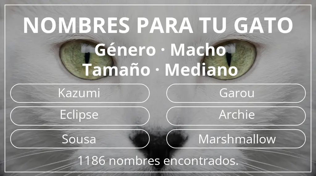 Nombres para gatos relacionados con género macho y tamaño mediano