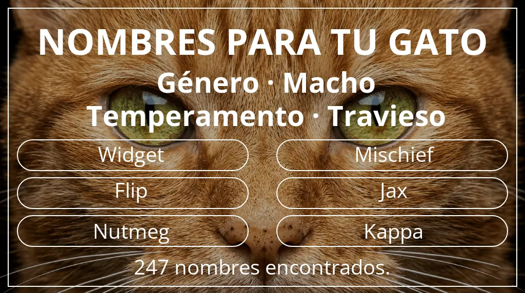 Nombres para gatos relacionados con género macho y temperamento travieso