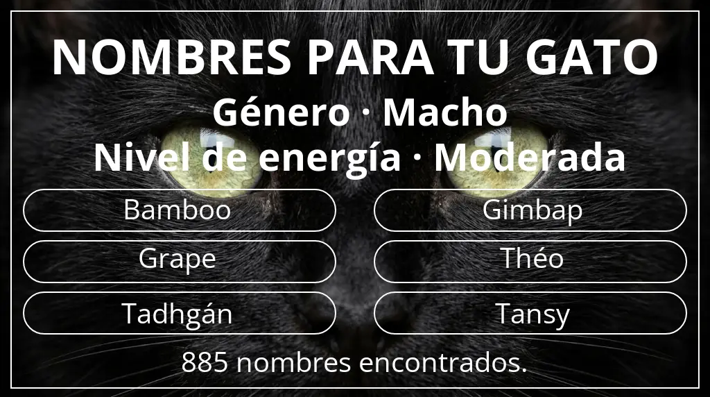 Nombres para gatos basados en género macho y nivel de energía moderada