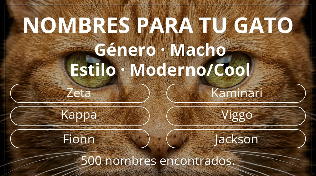 Nombres felinos inspirados en género macho y estilo moderno/cool