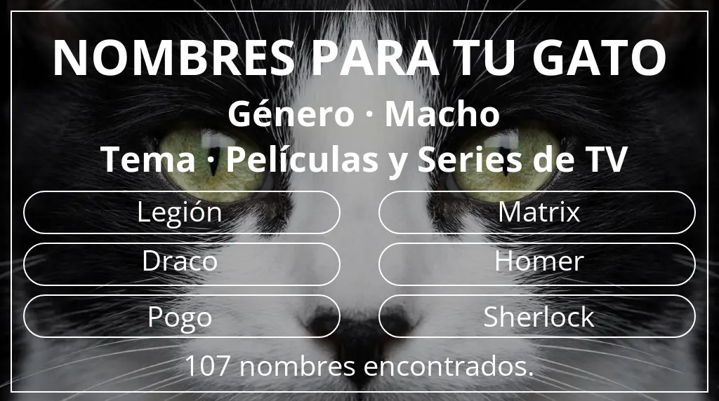 Nombres para gatos relacionados con género macho y tema películas y series de tv