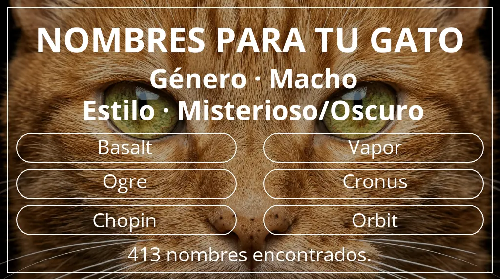 Nombres felinos inspirados en género macho y estilo misterioso/oscuro
