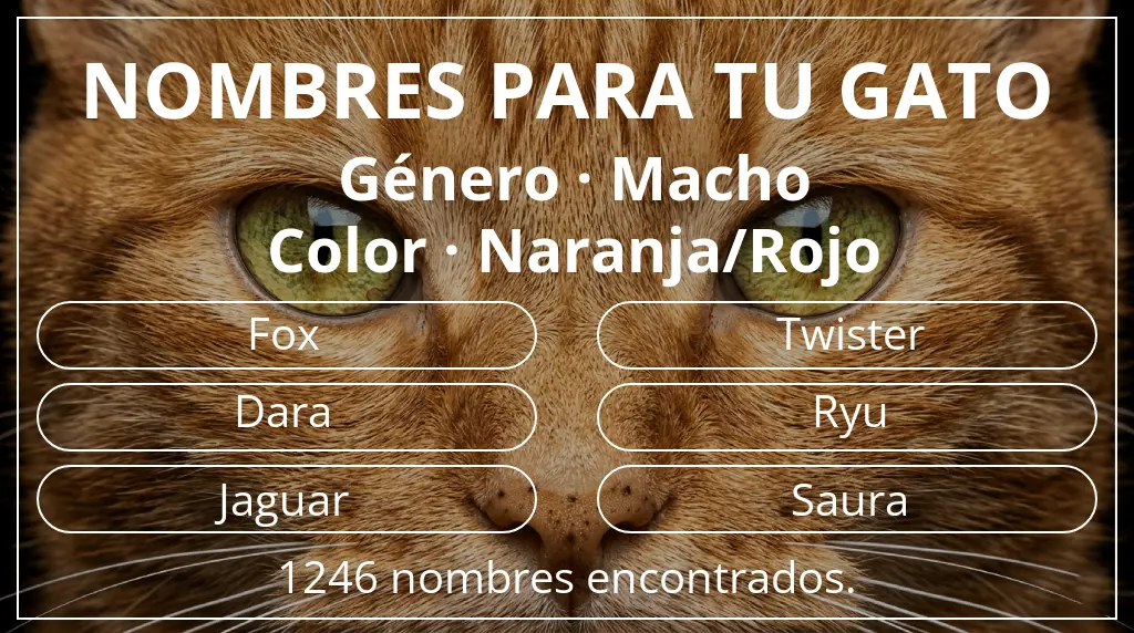 Nombres felinos basados en género macho y color naranja/rojo