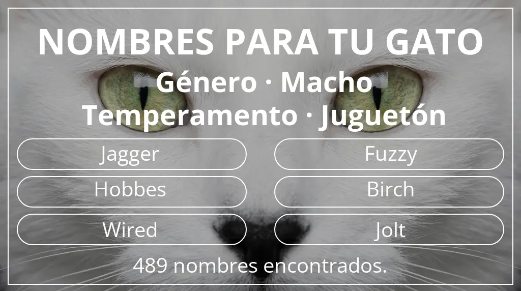 Nombres para gatos relacionados con género macho y temperamento juguetón