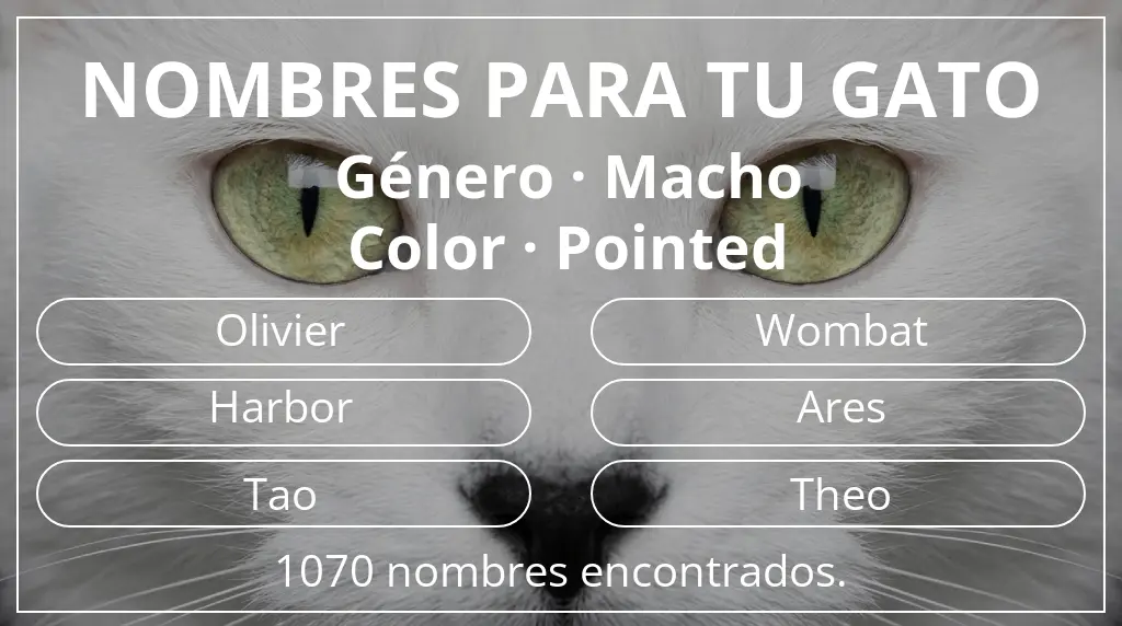 Nombres felinos basados en género macho y color pointed
