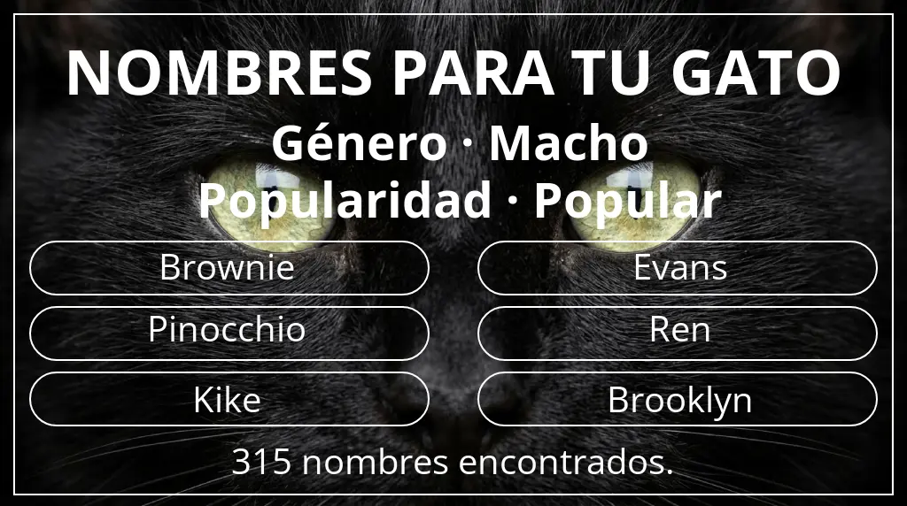 Nombres para gatos basados en género macho y popularidad popular