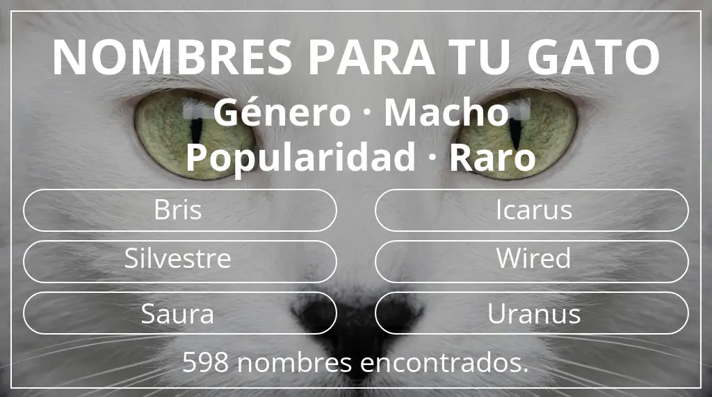 Nombres felinos basados en género macho y popularidad raro