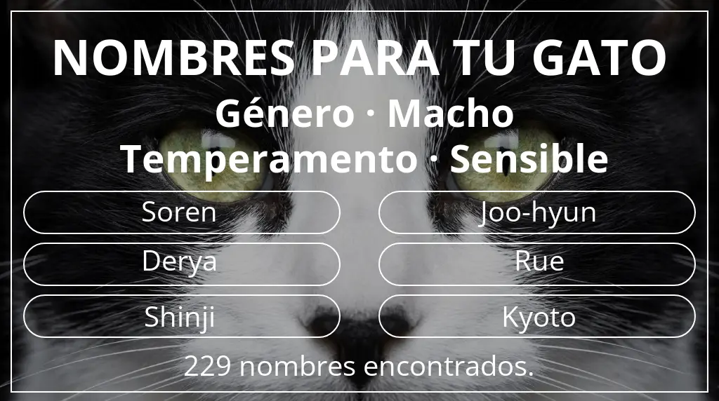Nombres para gatos basados en género macho y temperamento sensible