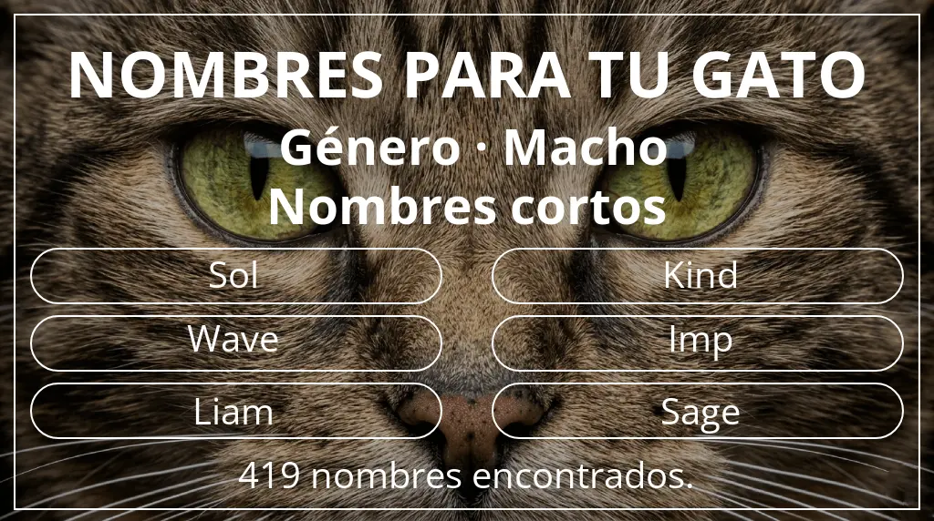 Nombres para gatos relacionados con género macho y longitud del nombre corto (2-4)
