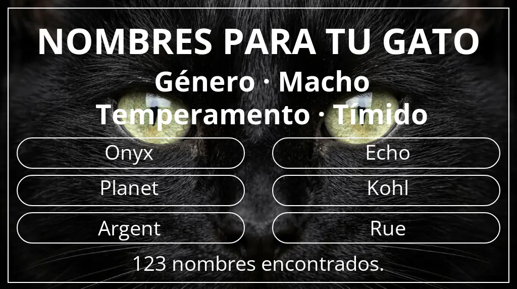 Nombres para gatos inspirados en género macho y temperamento tímido