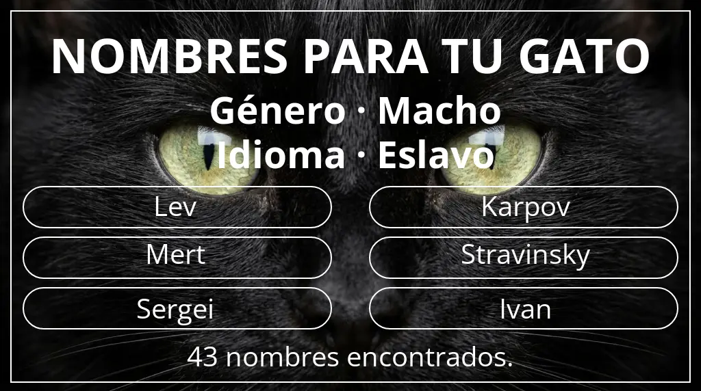 Nombres felinos basados en género macho y idioma eslavo