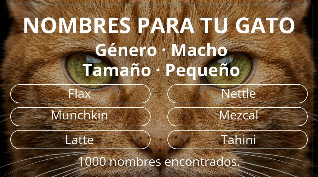 Nombres felinos relacionados con género macho y tamaño pequeño